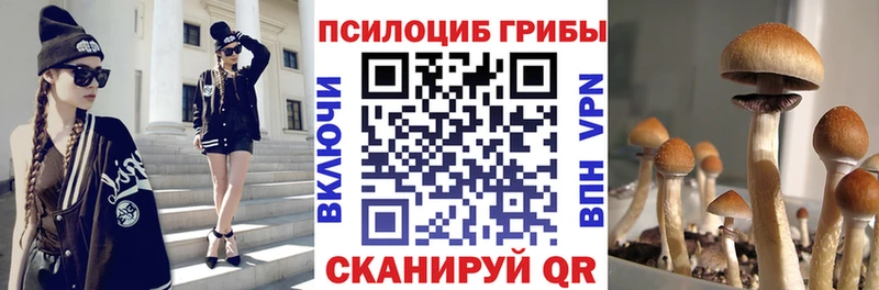 kraken   Княгинино  Псилоцибиновые грибы Psilocybine cubensis 